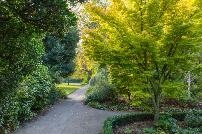 Cadogan Place South Garden